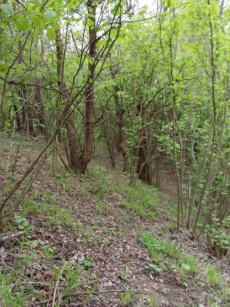 Nagykanizsai zártkert eladó panorámás kilátással