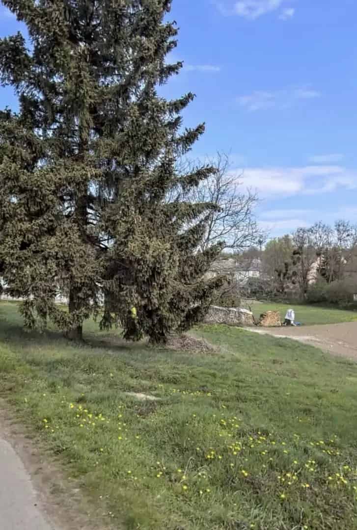 Balatonhoz k	zeli telek elad	