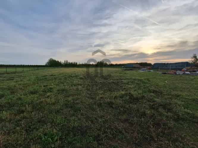 Ráckeve eladó tanya 6587 nm Újhegy