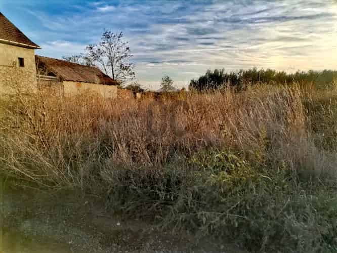Egyeki Telek Elado - Tisza-to Kozelben