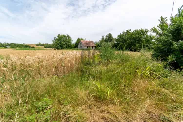 Polgárdi eladó telek 4436 m2 gazdasági épülettel