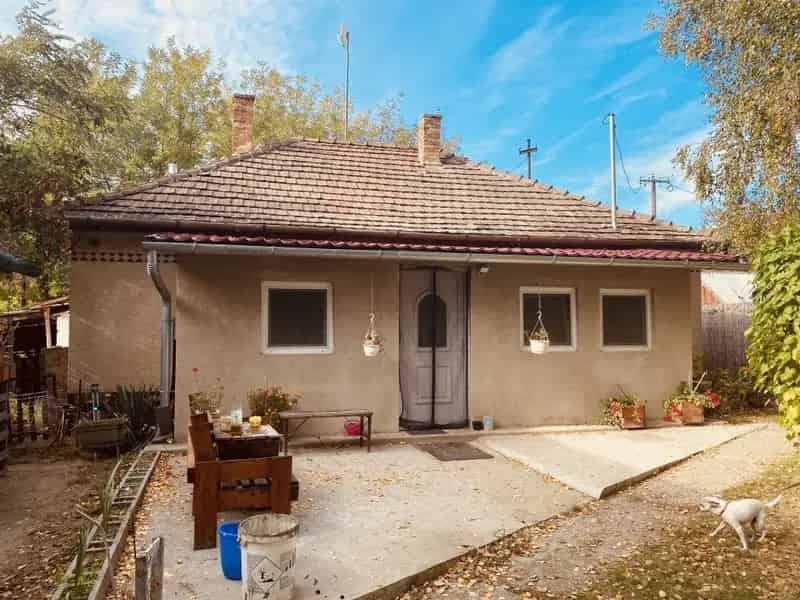 Ladánybene tanya eladó 4913 m2-es telken két házal