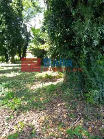 Kerepesi Telek Eladó 556 m²