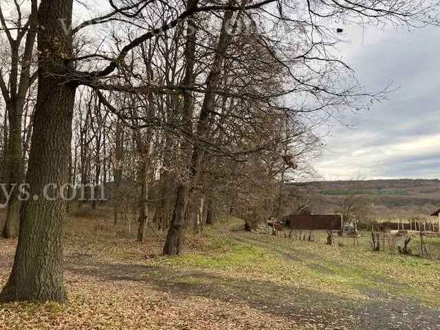 Balaton-felvidék Uzsa Családi ház eladó