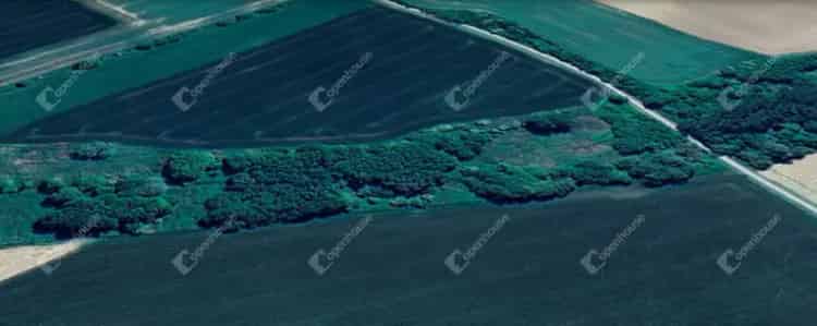 Eladó zártkert Szentpéterúron 7907 m²