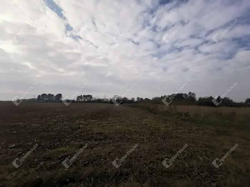 Eladó szántóföld Alsópáhok mellett 1298 m²