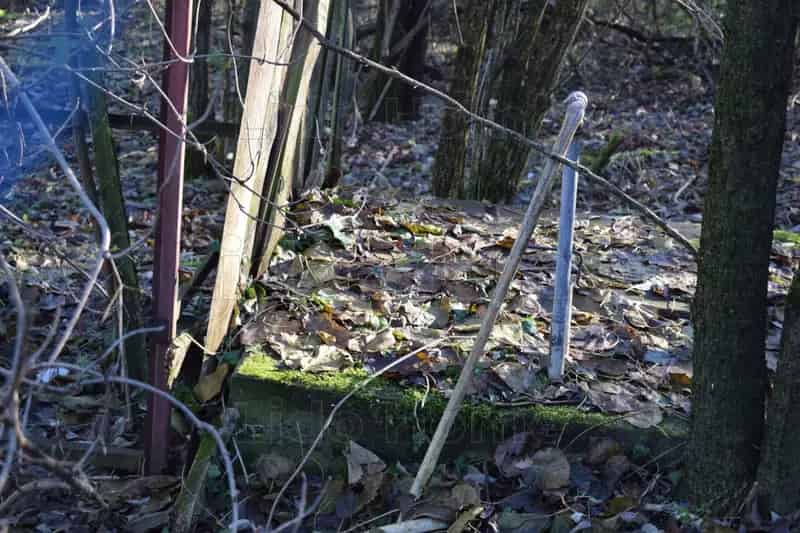Pázmándfalu 2440 m2-es Építési Telek Eladó