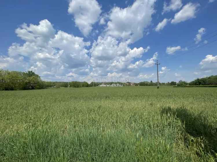 Ipari terület eladó Tárnok - 4862 m2