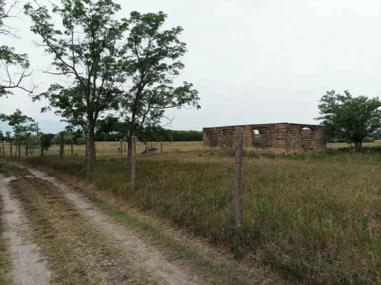 Tanya eladó Szatymazi telek Natura 2000-es minősítéssel