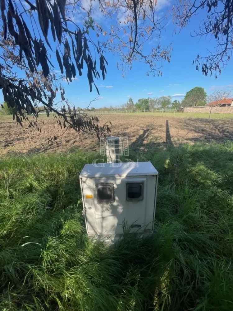 Eladó terület Zsombóban 6163 m2 főút mellett