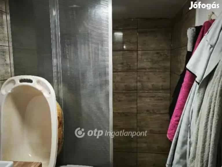 Szentesi 55 nm-es tanya eladó - 2 szoba, új konyha, légkondi