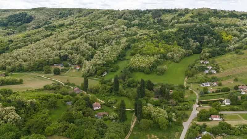 34000 m2-es Erdőszéli Telek Eladó - Fúrt Kúttal