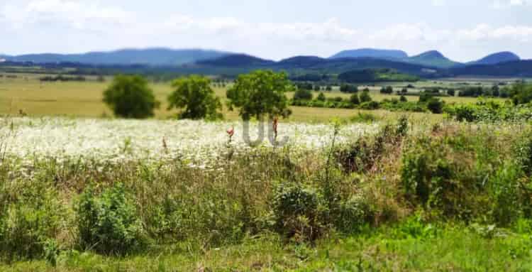 Köveskáli eladó mezőgazdasági ingatlan panorámás kilátással
