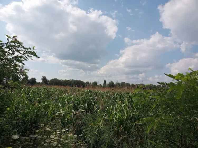 Telek Eladó in Szigetszentmiklós, Közép-Magyarország