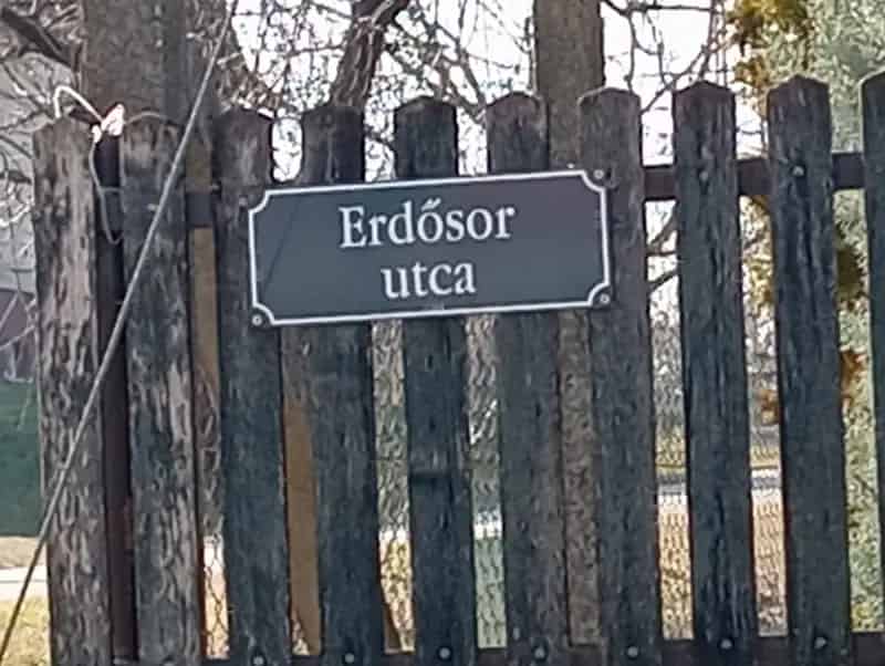 1 hektár terület eladó Ócsán gazdálkodóknak és befektetőknek
