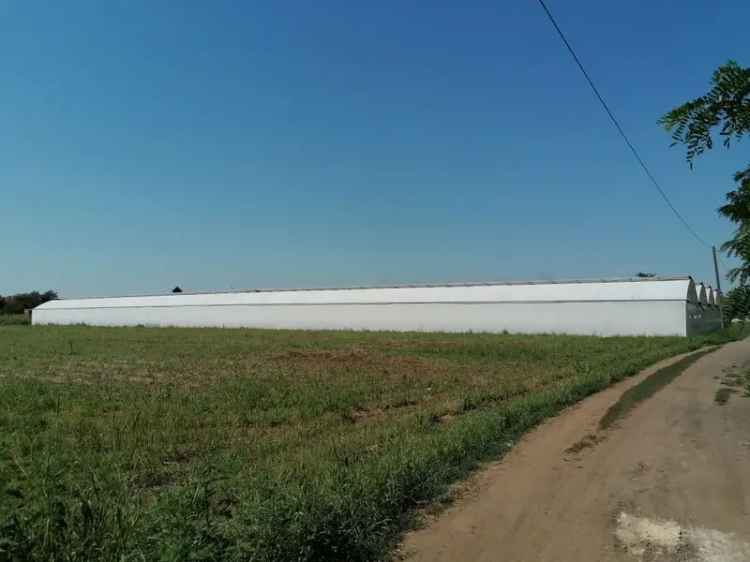 Telek Kiadó in Mezőkovácsházai járás, Alföld és Észak