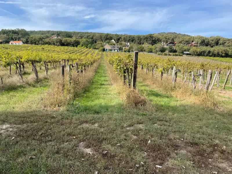Telek Kiadó , Balatonfüredi járás, Dunántúl