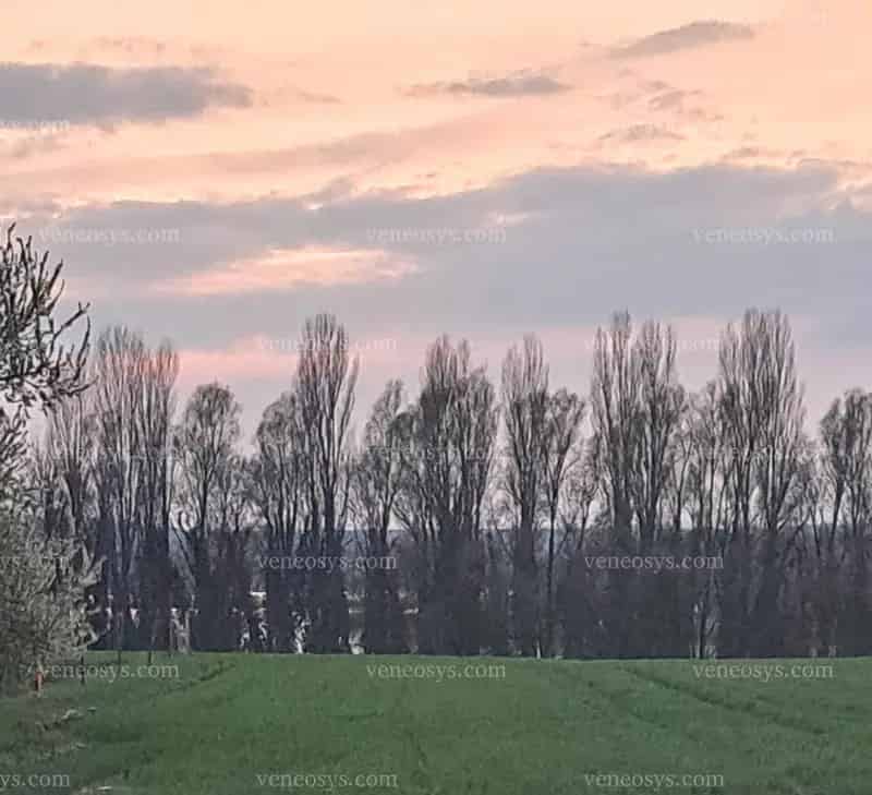 Kis-Balaton melletti ház eladó 2 szoba melléképülettel