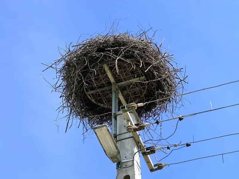 31 Ingatlanból Álló Birtok Eladó Kunszentmiklós Környékén