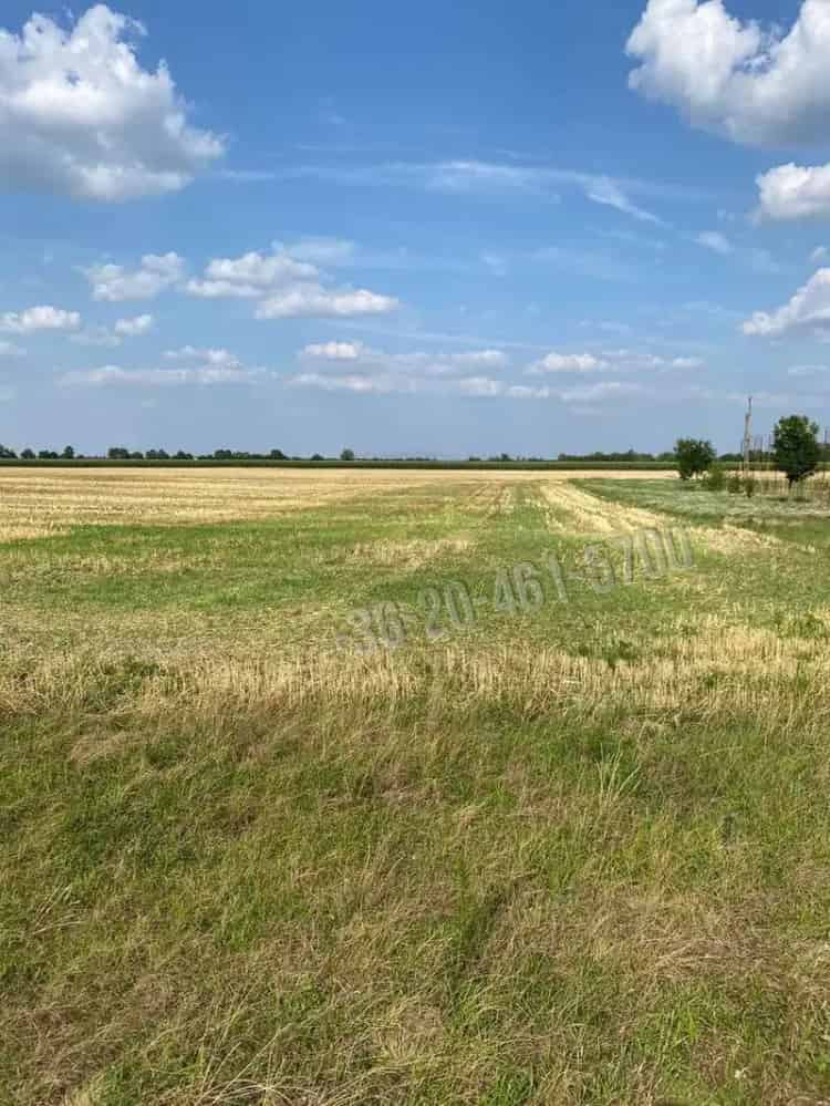 Mindszentpuszta Epitesi Telkek Elado