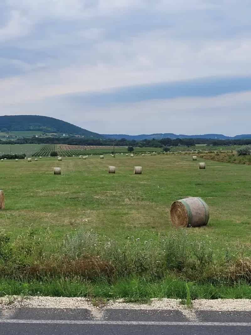 Zánka - 1 hektár feletti szántó eladó - befektetésnek is kiváló