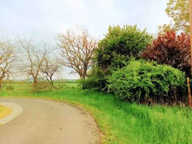 Szalapai Telek Eladó - Balaton Közelében