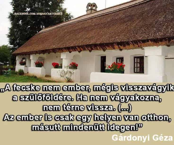 Kunadacs Romos Tanya 6 8 HA Legelővel Elado