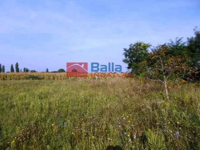 Szigetcsép Telek Eladó Duna Közelben 519 m2