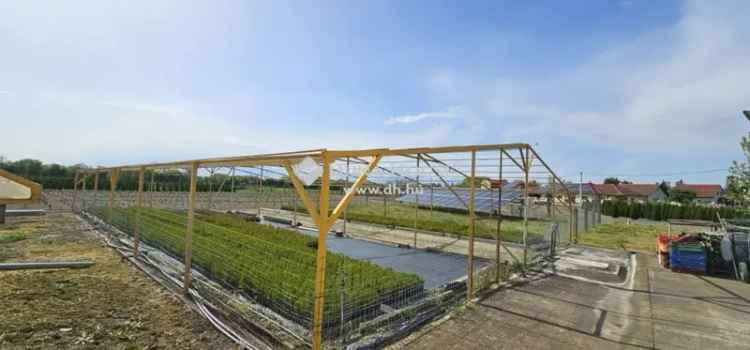 64000 m2-es telek eladó Balogunyomban - Modernizált facsemete nevelde