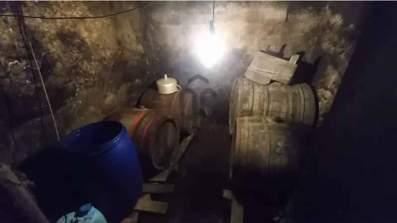 Somlószőlősi eladó szőlőskert kis pincével M0002647