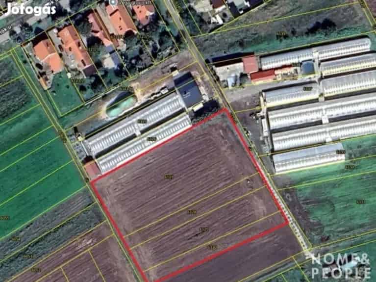 Makói építési telek eladó - 6237 m2 - termálvíz