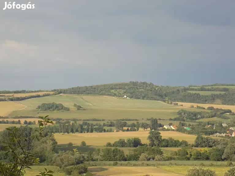 Panorámás Telek Écs Berényben Aszfaltos Úton