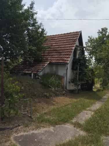 Eladó tégla tanya Szekszárd Faddi tetőn
