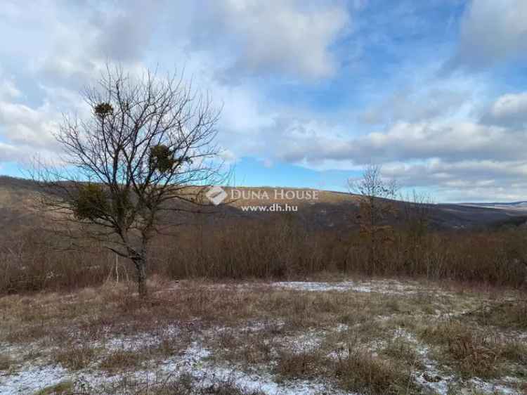 Eladó panorámás telek Verőcén a Fehérhegy Dűlőn