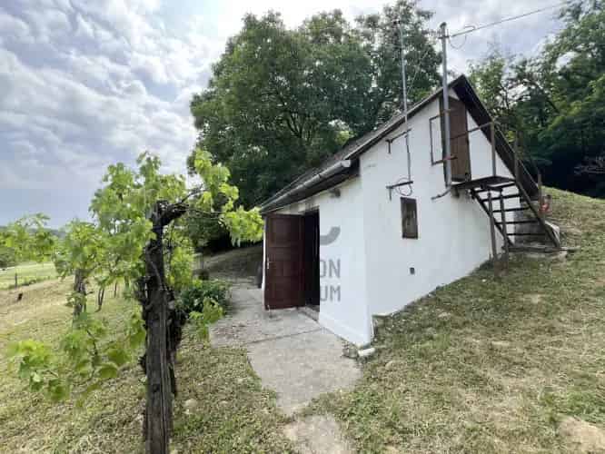 Szekszárdi tanya eladó 1263m2-es telken