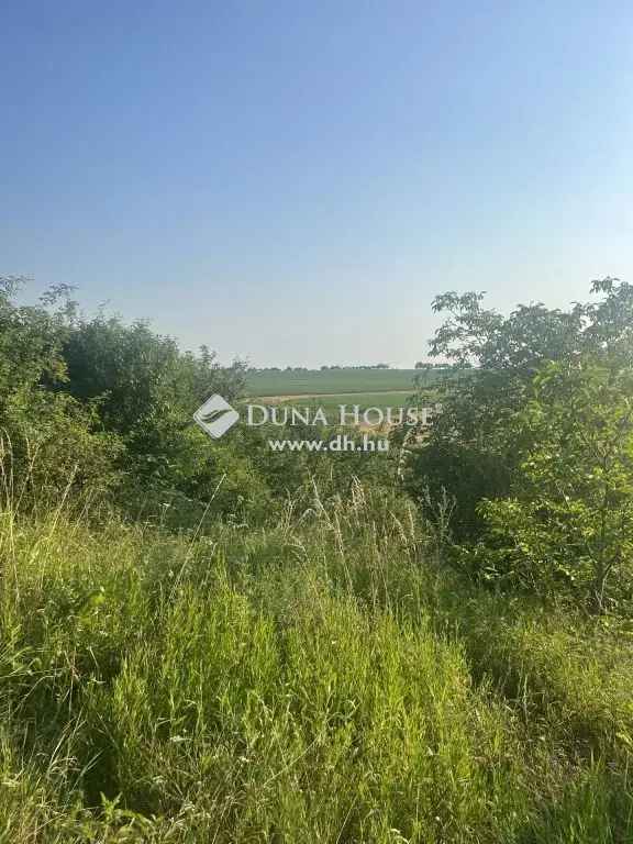 705 m2-es zártkerti telek Kocson fiataloknak