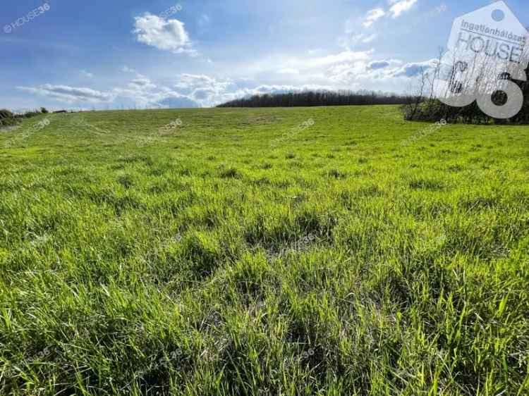 Szekszárd külterületi telek eladó panorámával