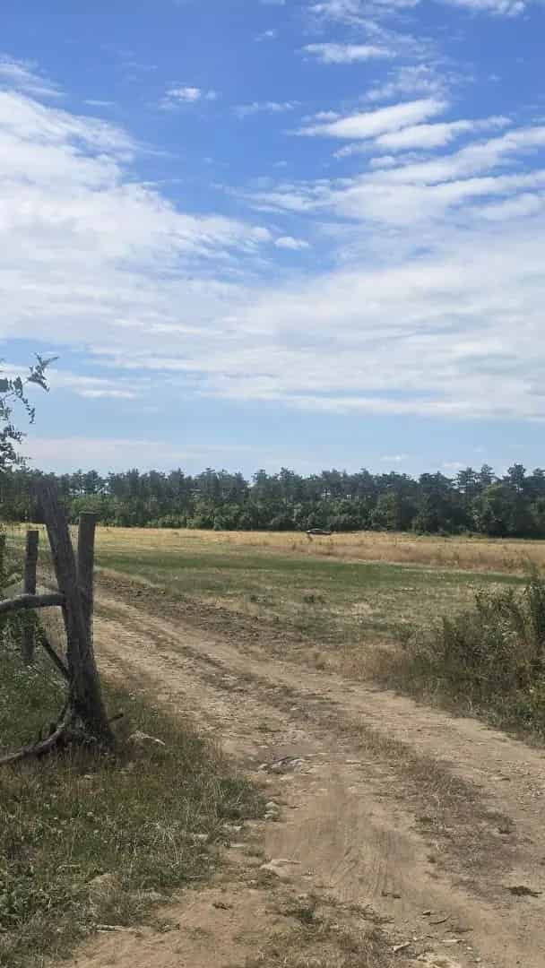 Dörgicse külterületi termőföld eladó 2942 m2