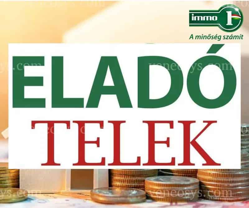 Kecskemét közeli tanya eladó 2878m2-es telekkel