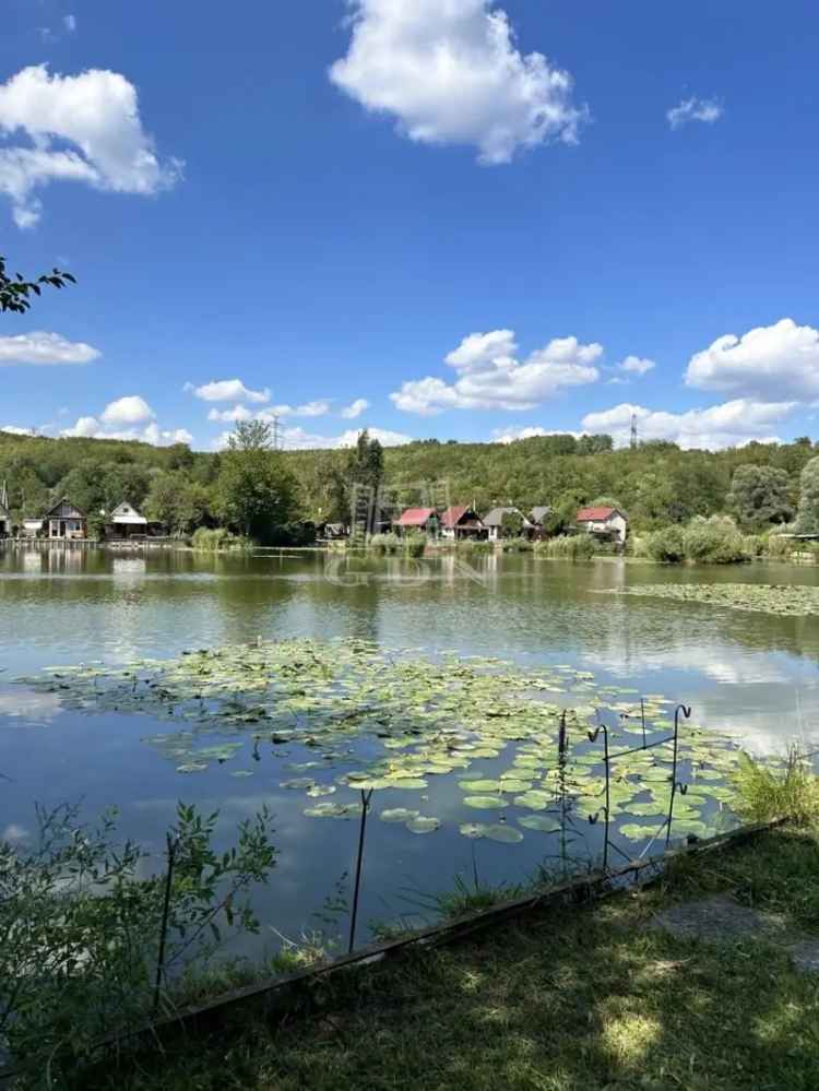 Telek Kiadó in Gödöllői járás, Közép-Magyarország