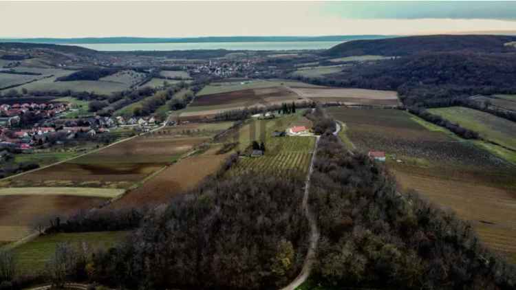 Balatoncsicsói eladó mezőgazdasagi ingatlan, M0002090