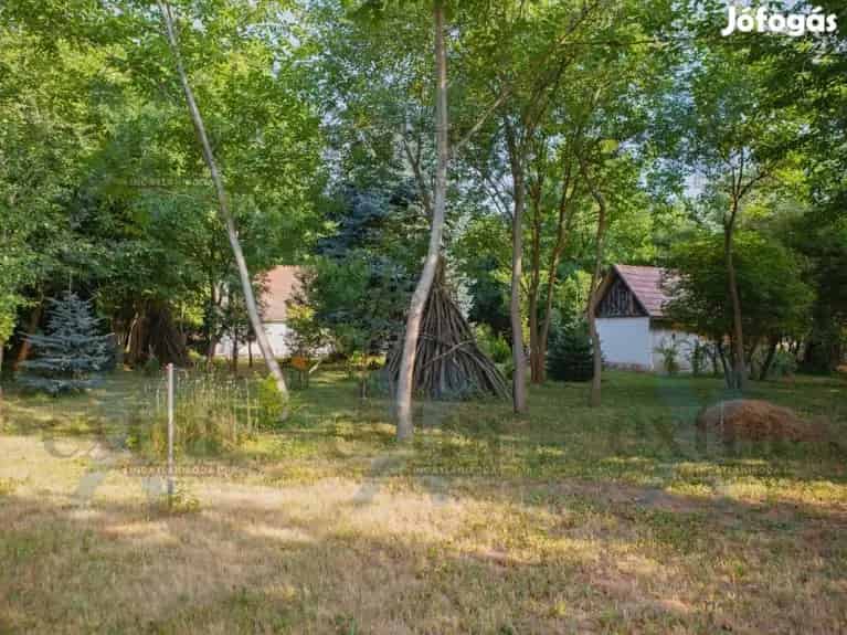 Eladó tanya Csongrád Nagyréten 70m2 2 szoba 2604m2 telek