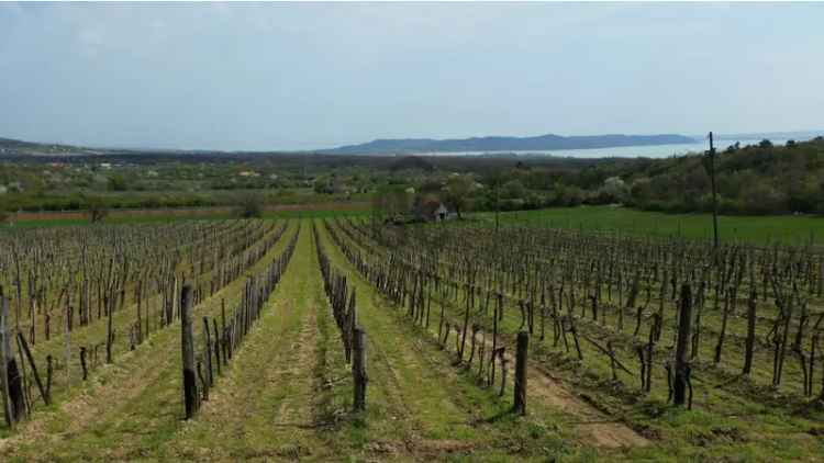 Balatonudvarii eladó mezőgazdasagi ingatlan, M0002716