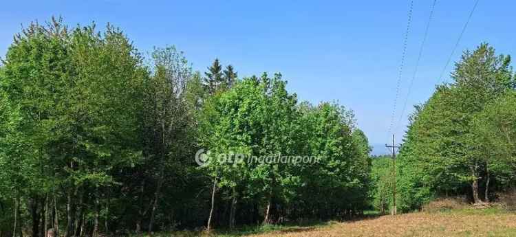Mátraszentimre Telek Eladó - 5698 m2 - Pazar Kilátás