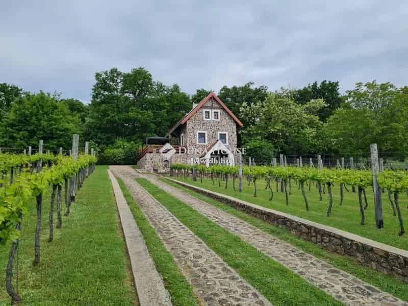 Balaton-felvidéki Szőlős Birtok Eladó