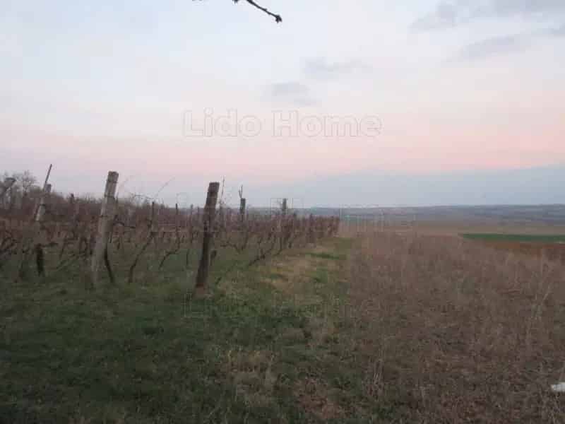 Balaton környéki présház eladó szőlővel 2057 m2-es telken