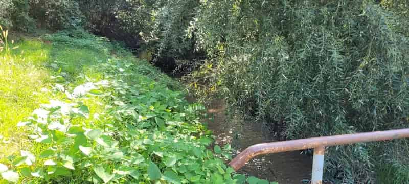 Fóti Ipari Telek Eladó - 1500 nm - Kiváló Befektetés