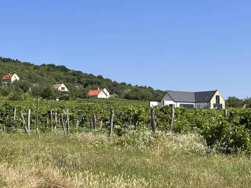 Aszófői Szőlőbirtok eladó - Pincével és Balatoni kilátással