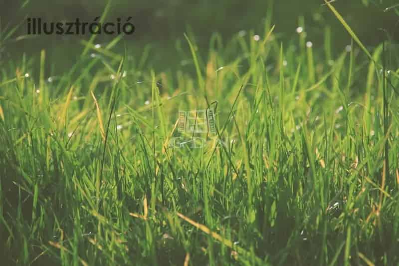 11540m2-es Panorámás Zártkerti Telek Lovasberényben Eladó