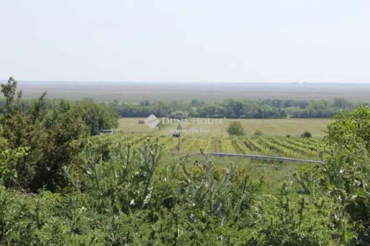 Eladó telek Balfon szőlőművelésre panorámás kilátással